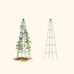 Pyramid Obelisk Garden Trellis - 6.5 ft