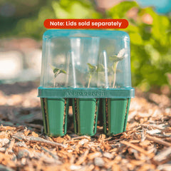 Standard Seedling Tray - 5" x 5"