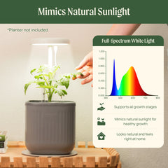 Grow Light Stand - Mini
