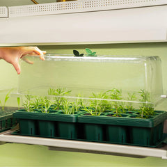 Seedling Humidity Dome - 10" x 20"