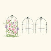 Birdcage Trellis - 2 Pack