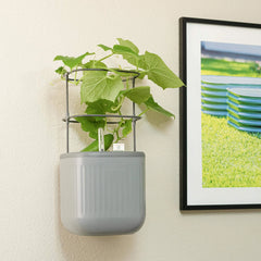Planter Wall Mount Kit