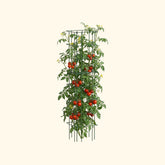 FlexGrow™ Modular Tomato Cage System - 16.5" Square