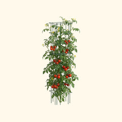 FlexGrow™ Modular Tomato Cage System - 16.5" Square