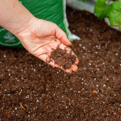 Vego Garden Bed Mix