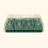 Seed Starting Bundle with Lid - 10" x 20"
