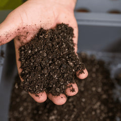 Vego Indoor Potting Mix