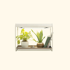 1 Tier Tabletop Grow Light Garden