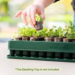 3-In-1 Plant 'n' Pop Board - 10" x 20"