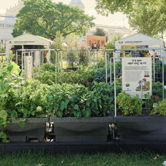 Foodcube™ Slim - The Next Generation of Self Watering Raised Garden Elevated