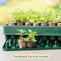 3-In-1 Plant 'n' Pop Board - 10" x 20"