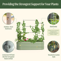 Wall Trellis System