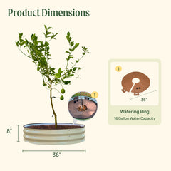 Tree Surround & Watering Ring Kit