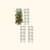 FlexGrow™ 3-Panel Tomato Cage - 11.5"