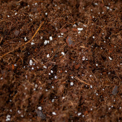 Vego Garden Bed Mix