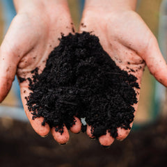 Vego Garden Regenerative Compost