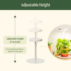 Grow Light Stand - Mini