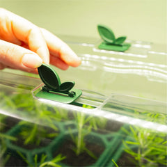 Grow Light with Humidity Dome - 10" x 20"
