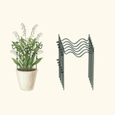 Border Plant Support Wavy - 6 Pack