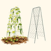 FlexGrow A-Frame Trellis ProMax