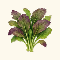 Red Giant Mustard Greens Seeds