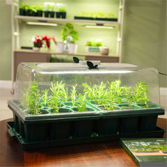 Grow Light with Humidity Dome - 10" x 20"