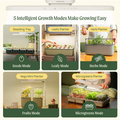 1 Tier Tabletop Grow Light Garden