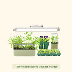 Classic Grow Light