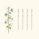 Garden Stake - 4 Pack