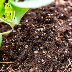 Vego Garden Planter Mix