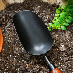 Heritage Scoop
