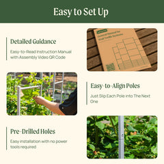 Wall Trellis System