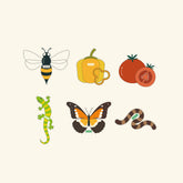 Vego Sticker Kit