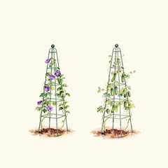 Pyramid Obelisk Garden Trellis - 6.5 ft