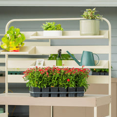 Hanging Rack Shelf Set