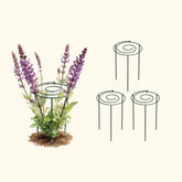 Grow Through Support - Spiral - 3 Pack