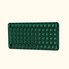 3-In-1 Plant 'n' Pop Board - 10" x 20"