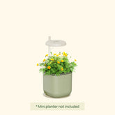 Grow Light Stand - Mini