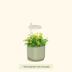 Grow Light Stand - Mini