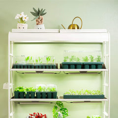 Standard 1020 Germination Cell Bundle