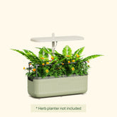 Grow Light Stand - Starter