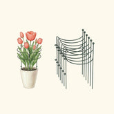Border Plant Support Curved - 6 Pack