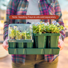 Bottom Watering Tray