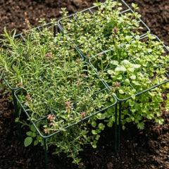 Grow Through Support - Grid - 4 Pack