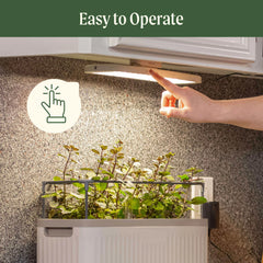 Classic Grow Light