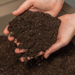Vego Garden Seed Starter Mix