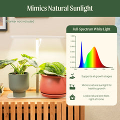 Grow Light Stand - Starter
