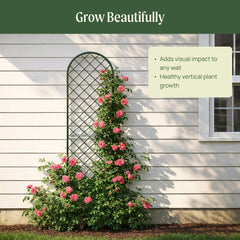 Mounted Wall Trellis