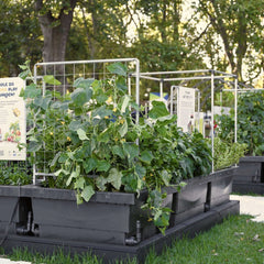Foodcube™ Wall Trellis
