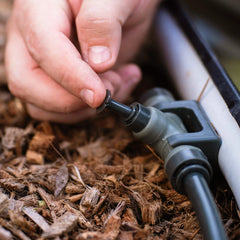 Tee Plug for Irrigation Kit